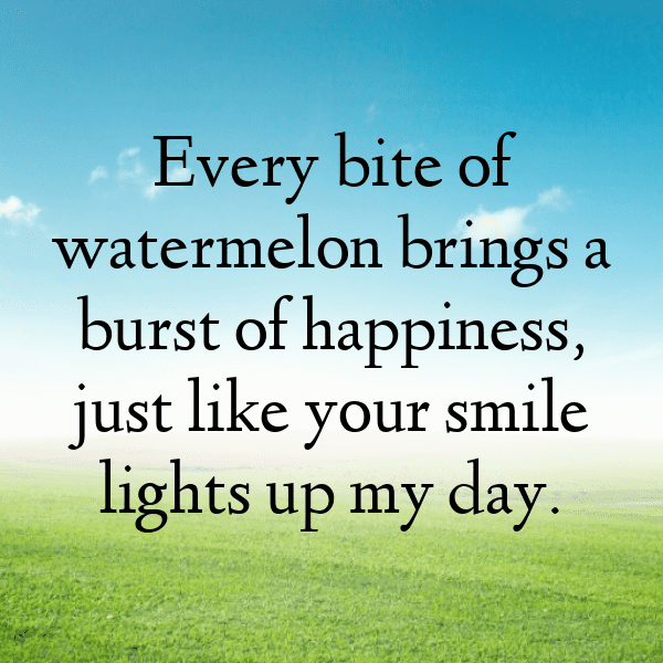 284+ Watermelon Captions For Instagram (Trending, Funny & Top) 4 Watermelon Captions Image For Instagram-aXsloZ