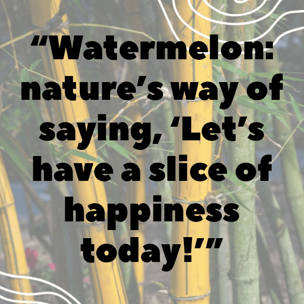 284+ Watermelon Captions For Instagram (Trending, Funny & Top) 8 Watermelon Captions Image For Instagram-f8LYsF