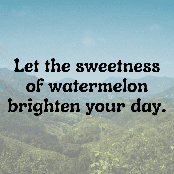 284+ Watermelon Captions For Instagram (Trending, Funny & Top) 3 Watermelon Captions Image For Instagram-GDTipn