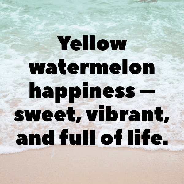 284+ Watermelon Captions For Instagram (Trending, Funny & Top) 19 Watermelon Captions Image For Instagram-oXVoOP