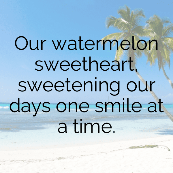 284+ Watermelon Captions For Instagram (Trending, Funny & Top) 15 Watermelon Captions Image For Instagram-pbhb59
