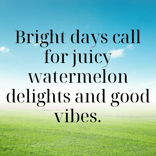 284+ Watermelon Captions For Instagram (Trending, Funny & Top) 6 Watermelon Captions Photo For Instagram-cJl5KB