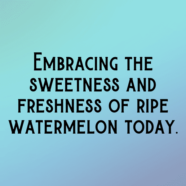 284+ Watermelon Captions For Instagram (Trending, Funny & Top) 13 Watermelon Captions Photo For Instagram-hKuKMG