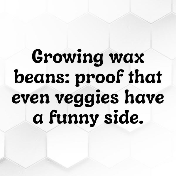 Wax Bean Captions Image For Instagram-oeh3d6
