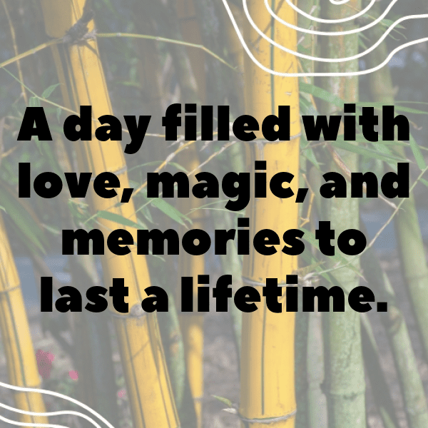 271+ Wedding Vibes Captions For Instagram (Trending, Funny & Top) 10 Wedding Vibes Captions Image For Instagram-uQDLIK