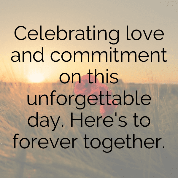 271+ Wedding Vibes Captions For Instagram (Trending, Funny & Top) 12 Wedding Vibes Captions Photo For Instagram-bZbN7i