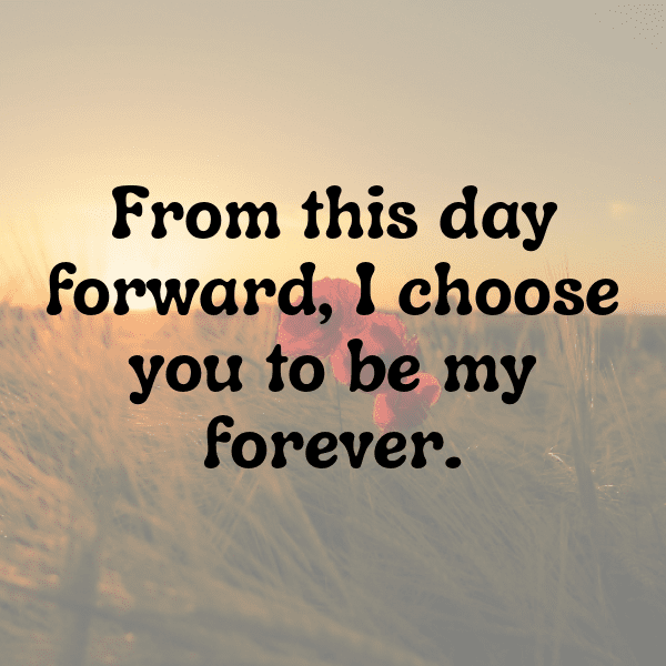 271+ Wedding Vibes Captions For Instagram (Trending, Funny & Top) 14 Wedding Vibes Captions Photo For Instagram-CGG2T9