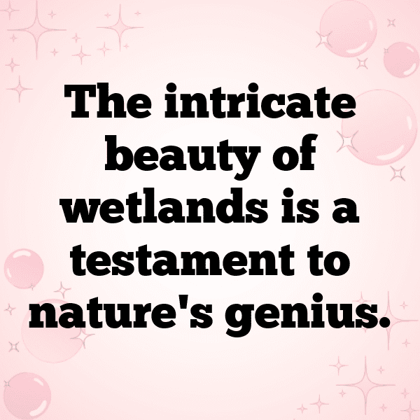 201+ Wetland Captions for Instagram (Trending, Funny & Top) 8 Wetland Captions Image for Instagram-H7W9mZ