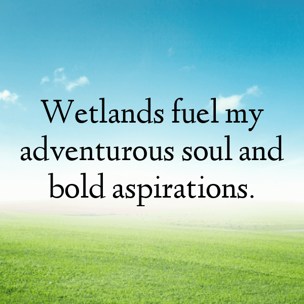 201+ Wetland Captions for Instagram (Trending, Funny & Top) 9 Wetland Captions Photo for Instagram-LdjCdX