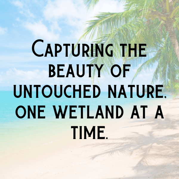 201+ Wetland Captions for Instagram (Trending, Funny & Top) 3 Wetland Captions Photo for Instagram-mI20w8