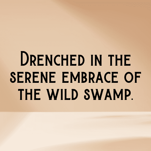 201+ Wetland Captions for Instagram (Trending, Funny & Top) 14 Wetland Captions Photo for Instagram-Wf0JUz