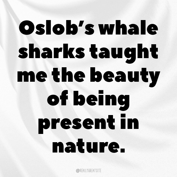 349+ Whale Captions For Instagram (Short, Trending & Viral) 16 Whale Captions Image For Instagram-CO9nYT