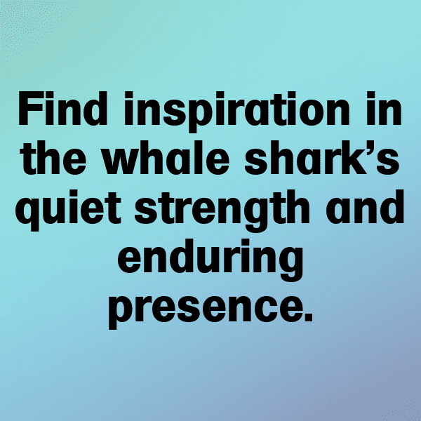 349+ Whale Captions For Instagram (Short, Trending & Viral) 17 Whale Captions Photo For Instagram-Ag9bIx