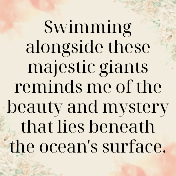 349+ Whale Captions For Instagram (Short, Trending & Viral) 13 Whale Captions Photo For Instagram-e22fBm