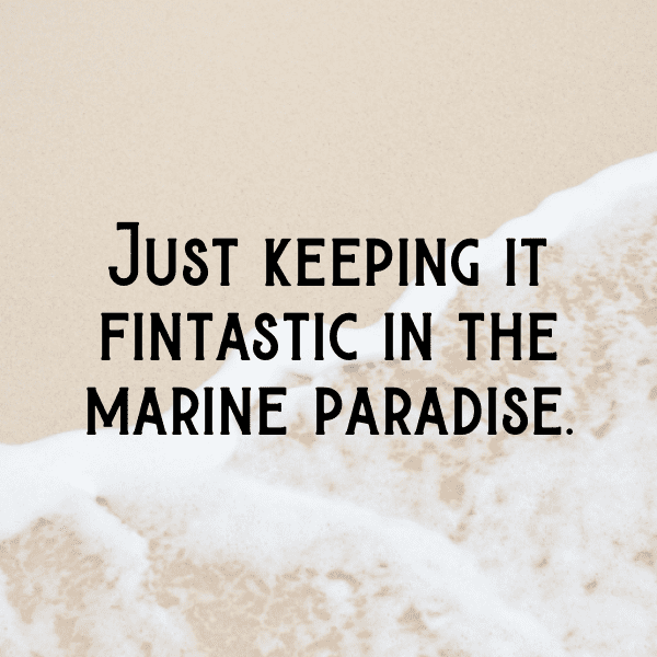 349+ Whale Captions For Instagram (Short, Trending & Viral) 8 Whale Captions Photo For Instagram-m410UJ