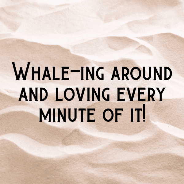 349+ Whale Captions For Instagram (Short, Trending & Viral) 5 Whale Captions Photo For Instagram-NpHdRT