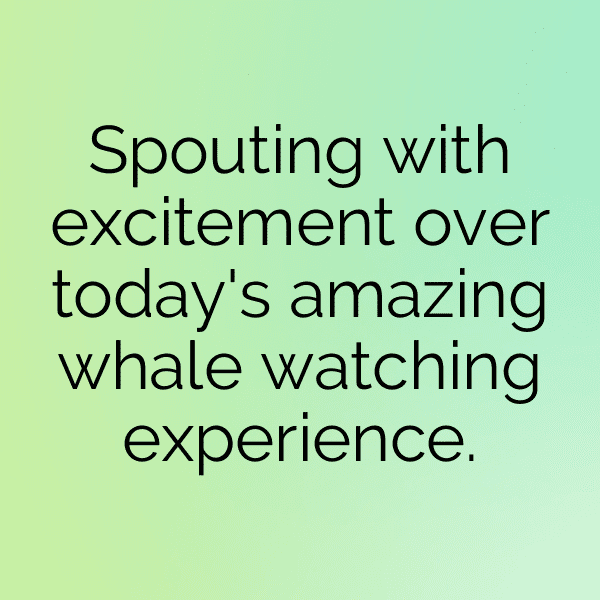349+ Whale Captions For Instagram (Short, Trending & Viral) 9 Whale Captions Photo For Instagram-o2kJ3s