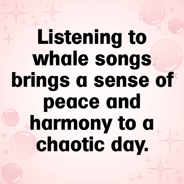 349+ Whale Captions For Instagram (Short, Trending & Viral) 4 Whale Captions Photo For Instagram-S7U3Bv