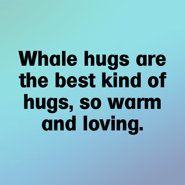 349+ Whale Captions For Instagram (Short, Trending & Viral) 3 Whale Captions Photo For Instagram-Sd6CRS