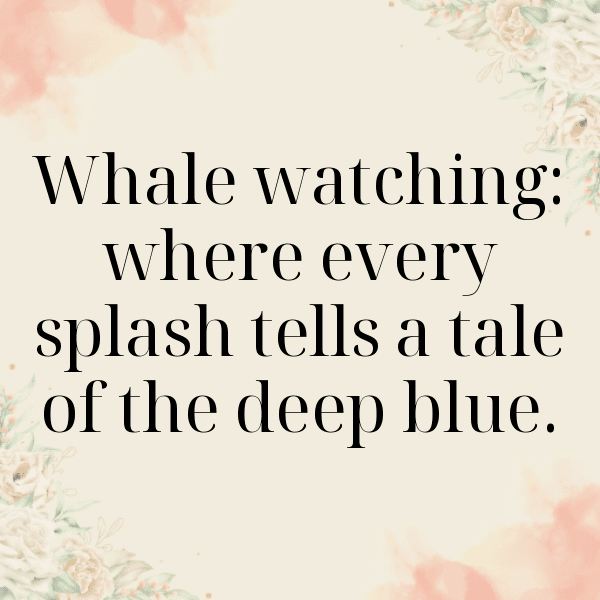 349+ Whale Captions For Instagram (Short, Trending & Viral) 19 Whale Captions Photo For Instagram-Svf3oO