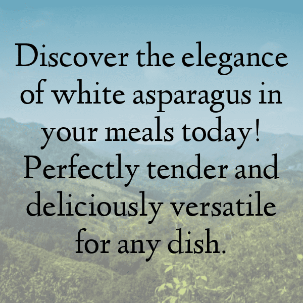 White Asparagus Captions Image For Instagram-313SkU