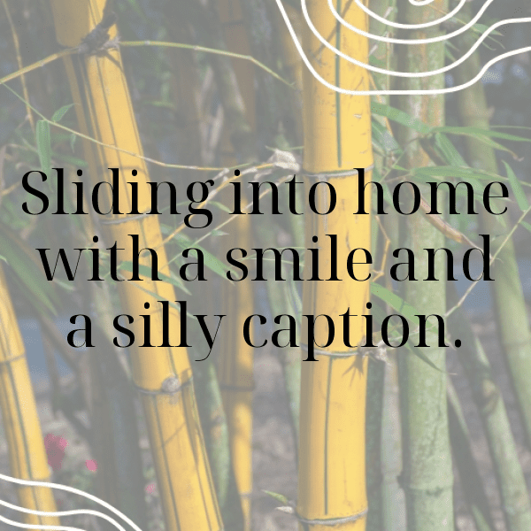 225+ Wii Sports Captions for Instagram (Fresh & Trendy) 5 Wii Sports Captions Photo for Instagram-SpaDaW