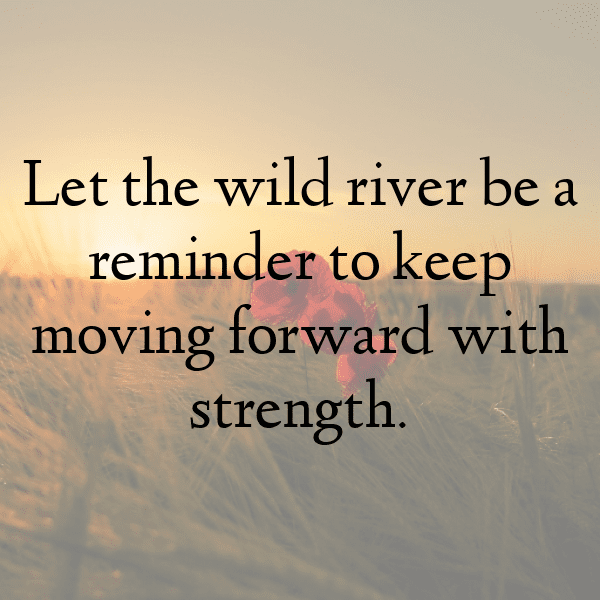 292+ Wild River Captions for Instagram (Best, Funny & Short) 8 Wild River Captions Image for Instagram-D26xBB