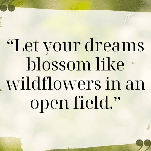 Wildflower Captions Image for Instagram-L60rwd