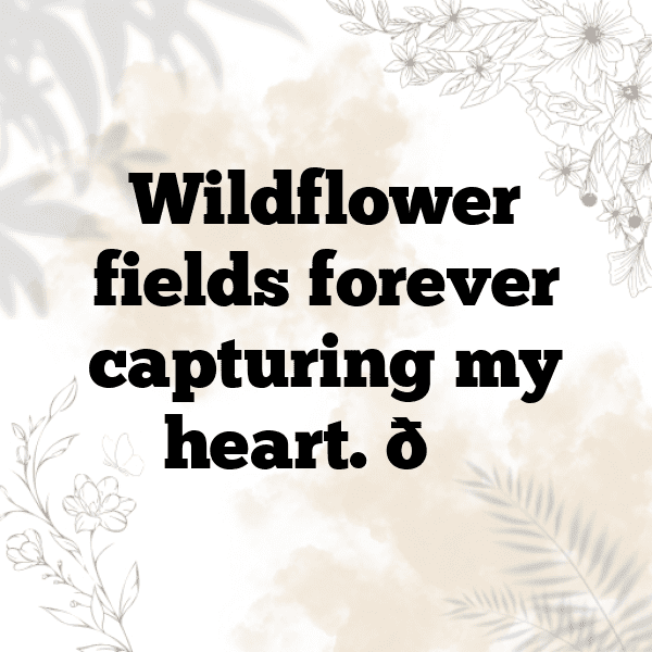 Wildflower Captions Image for Instagram-rGVwN6