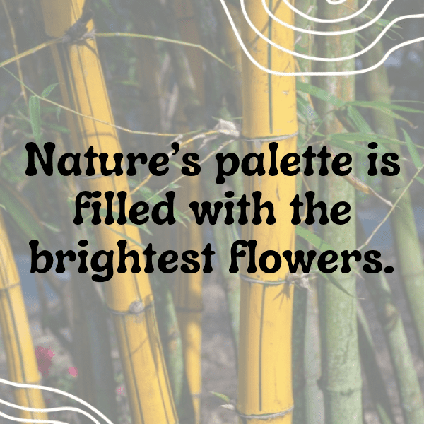 Wildflower Captions Photo for Instagram-AT1RGq