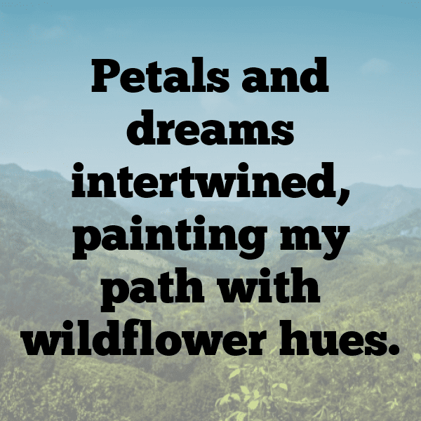 Wildflower Captions Photo for Instagram-gmzQnd