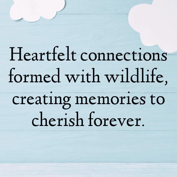 Wildlife Encounter Captions Image for Instagram-z5WnOA