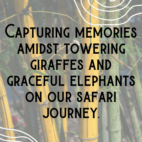 Wildlife Safari Captions Image for Instagram-z1JR1f