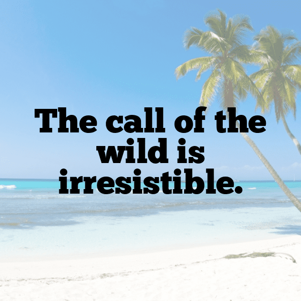 Wildlife Safari Captions Photo for Instagram-9SbgEy