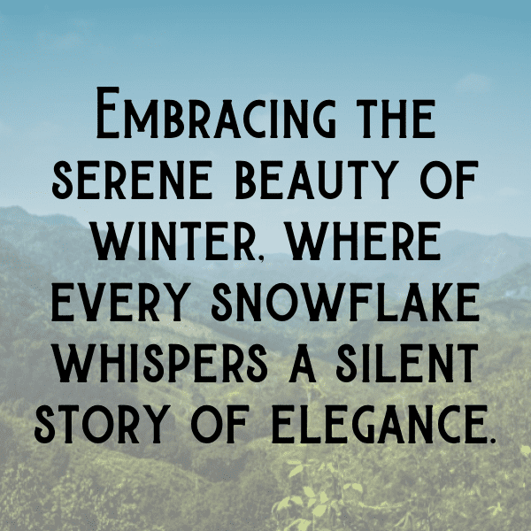 Winter Snow Captions Image for Instagram-mWzlp8