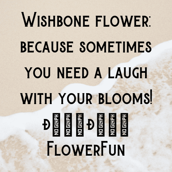 Wishbone Flower Captions Image For Instagram-INCHZg