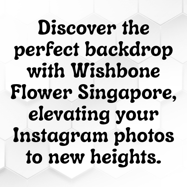 Wishbone Flower Captions Photo For Instagram-CKBkof