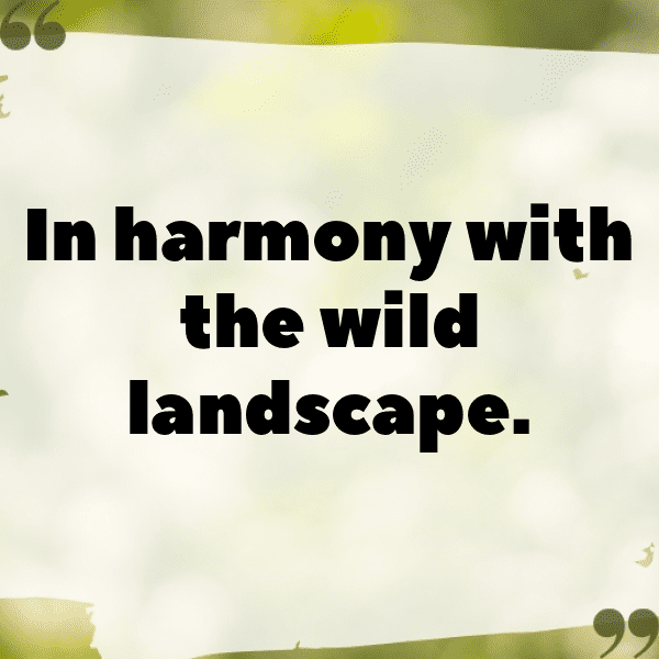 Wolf Captions Photo For Instagram-EUh2n3