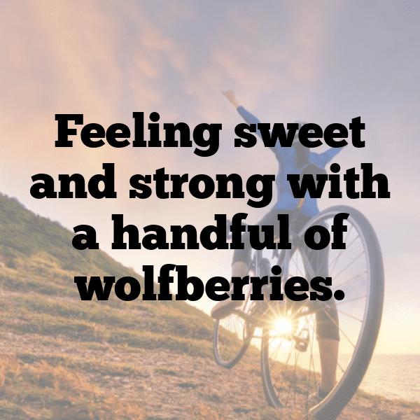 Wolfberry Captions Image For Instagram-spl0ia