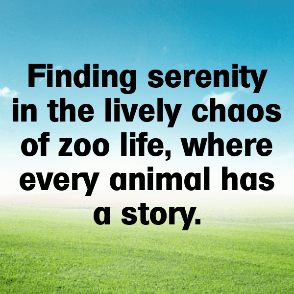 Wolfberry Captions Image For Instagram-woehas