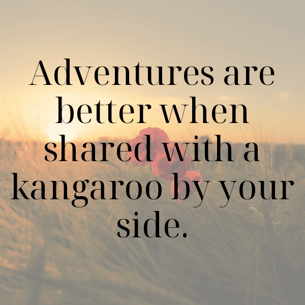 201+ Wombat Captions For Instagram In 2025 8 Wombat Captions Image For Instagram-E5Rg01