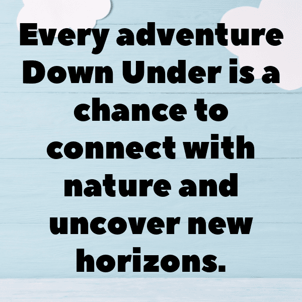 201+ Wombat Captions For Instagram In 2025 4 Wombat Captions Image For Instagram-IpRTVF