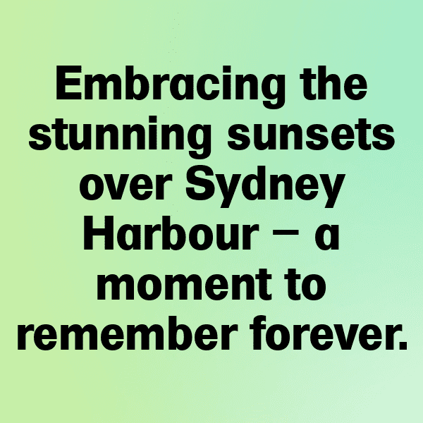 201+ Wombat Captions For Instagram In 2025 9 Wombat Captions Image For Instagram-qN8rMA