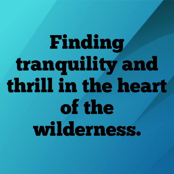 343+ Woodland Adventure Captions for Instagram (Best, Funny & Short) 6 Woodland Adventure Captions Image for Instagram-bvRRpH