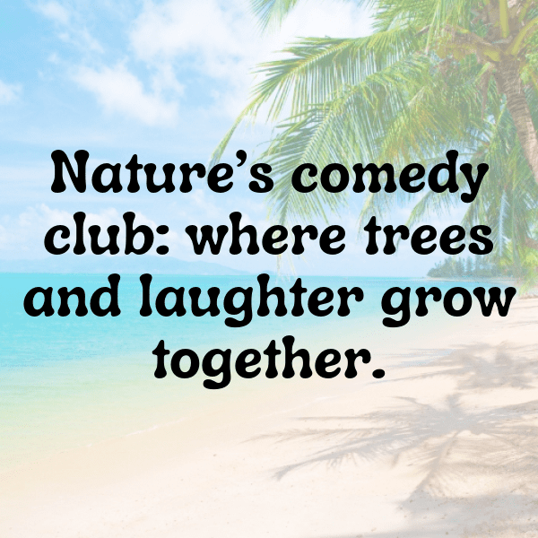 343+ Woodland Adventure Captions for Instagram (Best, Funny & Short) 4 Woodland Adventure Captions Image for Instagram-tXoM9h