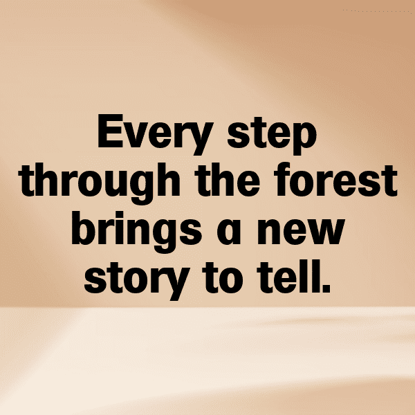 343+ Woodland Adventure Captions for Instagram (Best, Funny & Short) 7 Woodland Adventure Captions Photo for Instagram-T3JCrh