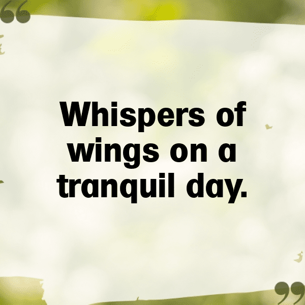 Woodpecker Captions Image For Instagram-g2GZgh