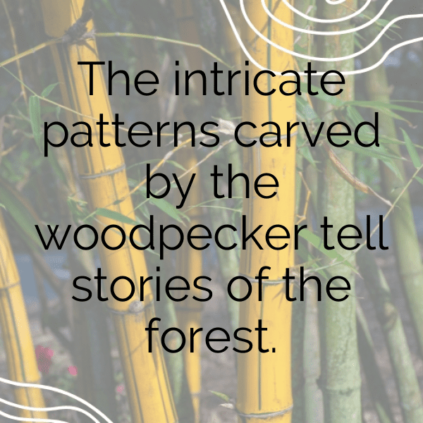 Woodpecker Captions Image For Instagram-zZU7iz