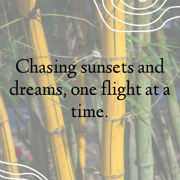 Woodpecker Captions Photo For Instagram-EDS3my