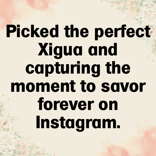 Xigua Captions Photo For Instagram-qXcvyx